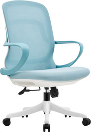 דר גב כיסא משרדי VENTUS