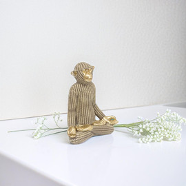 yaad Nina יוגה Monkey