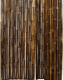 Mygan במבוק מושחל 30-35 שחור 1.5*2 - Garden Top