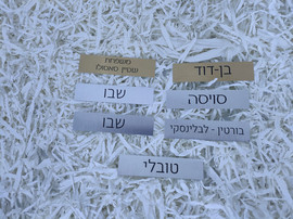 BABY-NAME שלט לתיבת הדואר לוחית נירוסטה צבע כסף | מידה 3X9 ס"מ