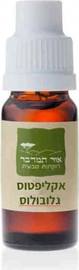 אור המדבר שמן אתרי אקליפטוס גלובולוס 100% טהור Eucalyptus globulus