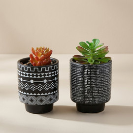 DECOROZ סט סוקולנטים מלאכותיים BOHO