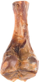 Almex חצי עצם עסיסית