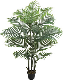 Garden Accessoirs דקל אריקה 1.65 מטר