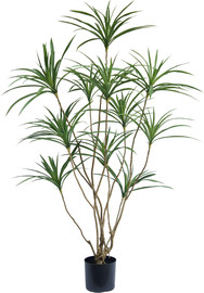 Garden Accessoirs דרצנה מלאכותית 1.5 מטר 14 ענפים