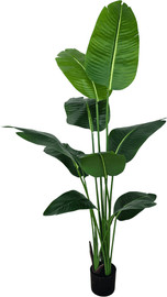 Garden Accessoirs ציפור גן עדן 1.6 מטר