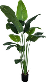 Garden Accessoirs ציפור גן עדן 2.1 מטר