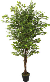 Garden Accessoirs עץ פיקוס ירוק 1.70 מטר