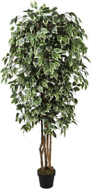 Garden Accessoirs עץ פיקוס לבן 1.8 מטר