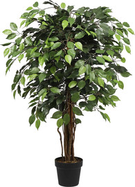 Garden Accessoirs עץ פיקוס ירוק 1.20 מטר