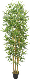 Garden Accessoirs עץ במבוק טבעי 1.80 מטר