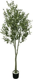 Garden Accessoirs עץ זית 1.8 מטר