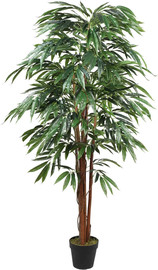 Garden Accessoirs עץ ערבה 1.8 מטר