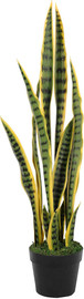 Garden Accessoirs סנסיוורייה 92 ס”מ