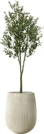 Garden Accessoirs עץ זית מלאכותי 1.8 מטר כולל כד סנטוריני קרם גובה 60 ס"מ
