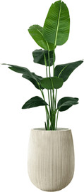 Garden Accessoirs ציפור גן עדן 1.6 מטר כולל כד סנטוריני קרם גובה 40 ס"מ
