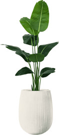 Garden Accessoirs ציפור גן עדן 1.6 מטר כולל כד סנטוריני לבן גובה 60 ס"מ