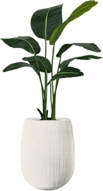 Garden Accessoirs ציפור גן עדן 1.2 מטר כולל כד סנטוריני לבן גובה 60 ס"מ