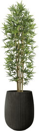 Garden Accessoirs עץ במבוק 1.8 מטר כולל כד סנטוריני שחור גובה 60 ס"מ