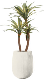 Garden Accessoirs אגבה אמריקנה 1.3 מטר כולל כד סנטוריני לבן גובה 60 ס"מ