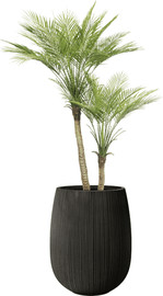 Garden Accessoirs דקל מפוצל 1.2 מטר כולל כד סנטוריני שחור גובה 40 ס"מ