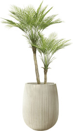 Garden Accessoirs דקל מפוצל 1.2 מטר כולל כד סנטוריני קרם גובה 40 ס"מ
