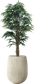 Garden Accessoirs עץ ערבה מלאכותי 1.8 מטר כולל כד סנטוריני קרם גודל 60 ס"מ
