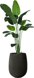 Garden Accessoirs ציפור גן עדן 2.1 מטר כולל כד סנטוריני שחור גודל 40 ס"מ