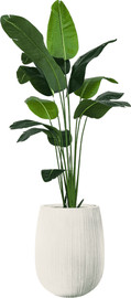 Garden Accessoirs ציפור גן עדן 2.1 מטר כולל כד סנטוריני לבן גודל 40 ס"מ