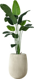 Garden Accessoirs ציפור גן עדן 2.1 מטר כולל כד סנטוריני קרם גודל 60 ס"מ