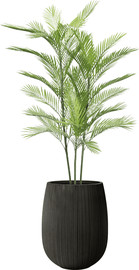 Garden Accessoirs עץ דקל אריקה מלאכותי 1.5 מטר עמיד ב-UV כולל כד סנטוריני לבן גודל 40 ס"מ