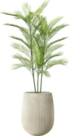 Garden Accessoirs עץ דקל אריקה מלאכותי 1.5 מטר עמיד ב-UV כולל כד סנטוריני קרם גודל 40 ס"מ