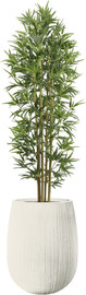 Garden Accessoirs עץ במבוק 1.8 מטר כולל כד סנטוריני לבן גודל 40 ס"מ
