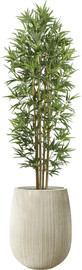 Garden Accessoirs עץ במבוק 1.8 מטר כולל כד סנטוריני קרם גודל 60 ס"מ