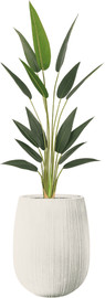 Garden Accessoirs ציפור גן עדן 1.5 מטר עמיד UV כולל כד סנטוריני לבן גודל 60 ס"צ