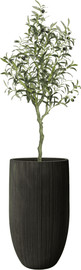 Garden Accessoirs עץ זית מלאכותי 1.2 מטר כולל כד סנטוריני גבוהה שחור גובה 62 ס"מ