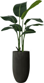 Garden Accessoirs ציפור גן עדן מלאכותי 1.2 מטר כולל כד סנטוריני גבוהה שחור גובה 77 ס"מ