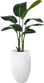Garden Accessoirs ציפור גן עדן מלאכותי 1.2 מטר כולל כד סנטוריני גבוהה לבן גובה 77 ס"מ