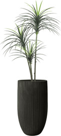 Garden Accessoirs עץ יוקה מפוצל מלאכותי 1.6 מטר כולל כד סנטוריני גבוהה שחור גובה 77 ס"מ