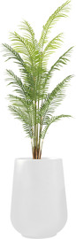 Garden Accessoirs עץ דקל הוואי מלאכותי 2 מטר כולל כד פיראוס לבן גובה 55 ס"מ
