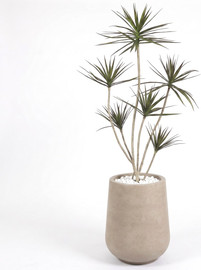 Garden Accessoirs דרצנה מלאכותית 6 ראשים 1.8 מטר כולל כד פיראוס אבן גובה 70 ס"מ