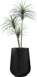 Garden Accessoirs עץ יוקה מלאכותי 1.6 מטר כולל כד פיראוס שחור גובה 55 ס"מ