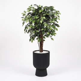Garden Accessoirs עץ פיקוס ירוק מלאכותי 1.2 מטר כולל כד ונציה שחור גובה 56 ס"מ