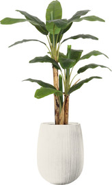 Garden Accessoirs עץ בננה מלאכותי 1.5 מטר כולל כד סנטוריני לבן גובה 40 ס"מ
