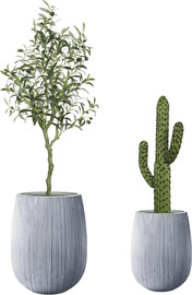 Garden Accessoirs עץ זית מלאכותי 1.2 מטר וקקטוס 63 ס”מ כולל זוג כדי סנטוריני אפור