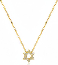 LA MILA שרשרת מגן דוד זהב- My David star Gold