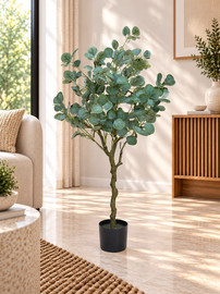 eurohome עציץ פיקוס 120 ס״מ