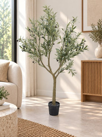 eurohome עץ זית מלא 150 סמ A633-016