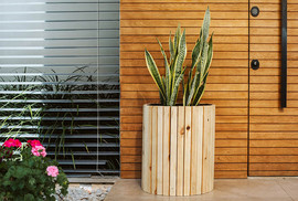 פסים אדנית גליל 60