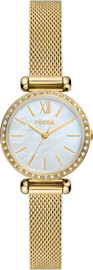 Fossil שעון יד פוסיל לאישה מקולקציית TILLIE MINI דגם BQ3898